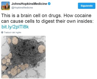 Source: https://twitter.com/HopkinsMedicine/status/855446793730916357