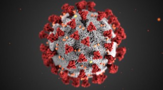 Image by CDC/ Alissa Eckert, MS; Dan Higgins, MAMS COVID-19