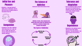 This infographic showcases what happens mentally when enduring addiction, helping to reduce stigma in society. 