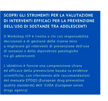 IEP Promotional Flyer - Detail