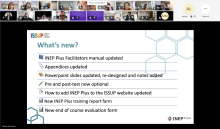 A photo from the online INEP session in English.