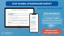 ICAP Survey