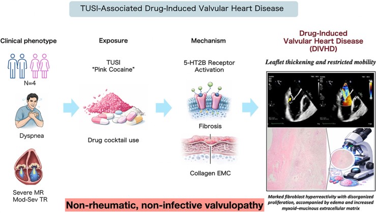 visual abstract
